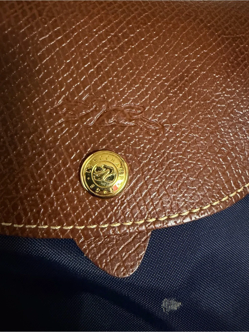 Navy Blue Longchamp Backpack
